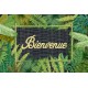 Tapis anti-poussière Jungle Moderne 40x60cm