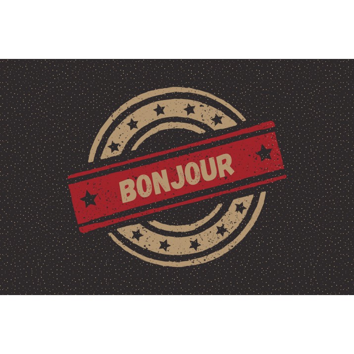 Tapis anti-poussière Stampy 40x60cm