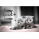 Tapis anti-poussière Sweetie 40x60cm