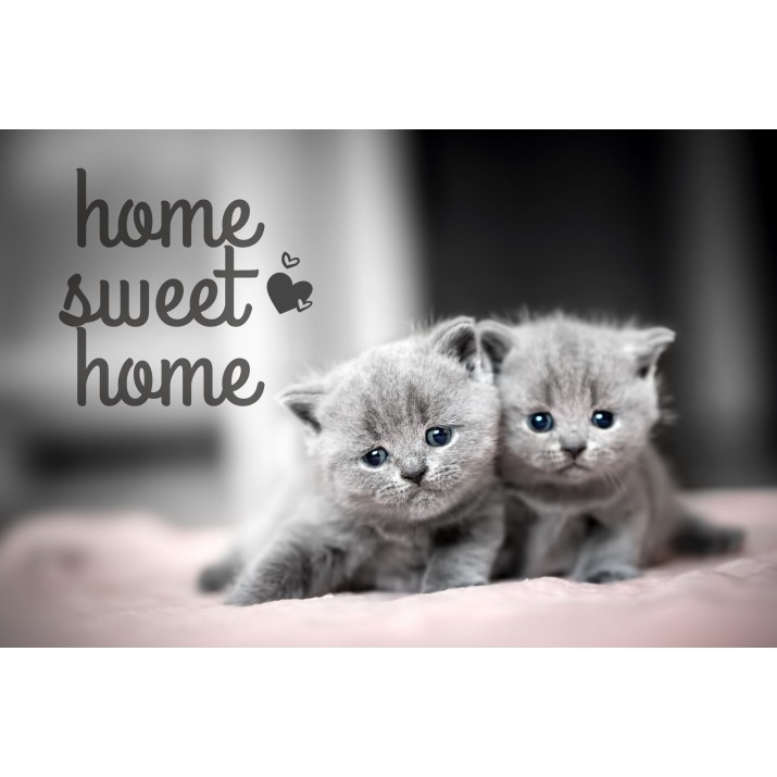 Tapis anti-poussière Sweetie 40x60cm