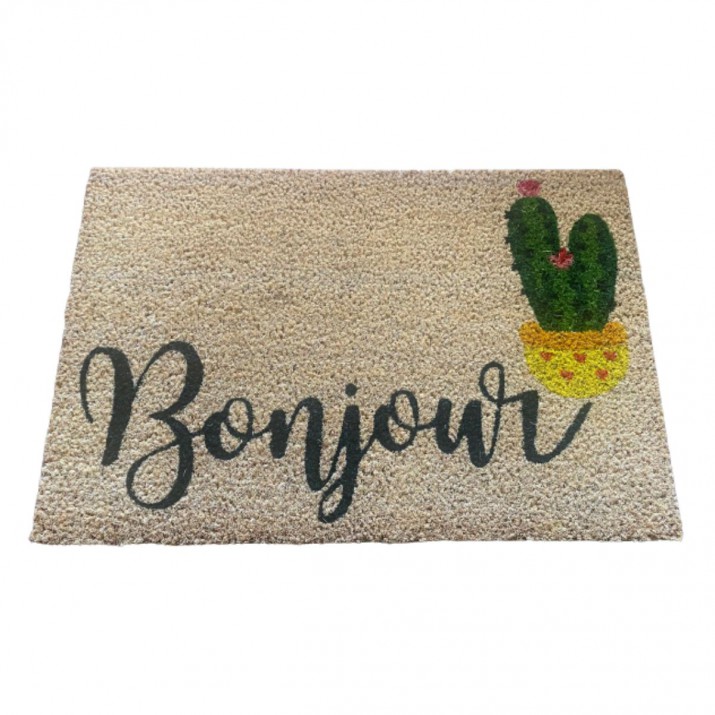 Tapis Coco Kaktus Envers PVC 40x60 cm