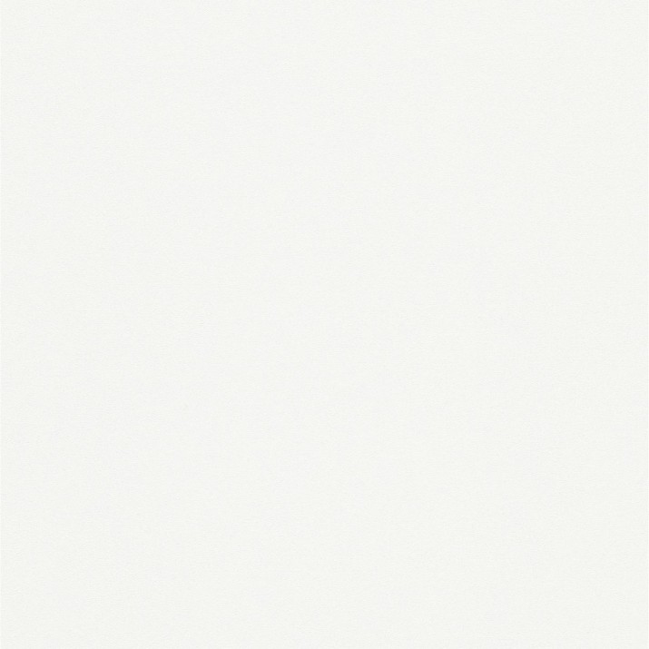 ERISMANN Papier Peint Vinyle Grainé sur Intissé Crème - réf. 6342-01