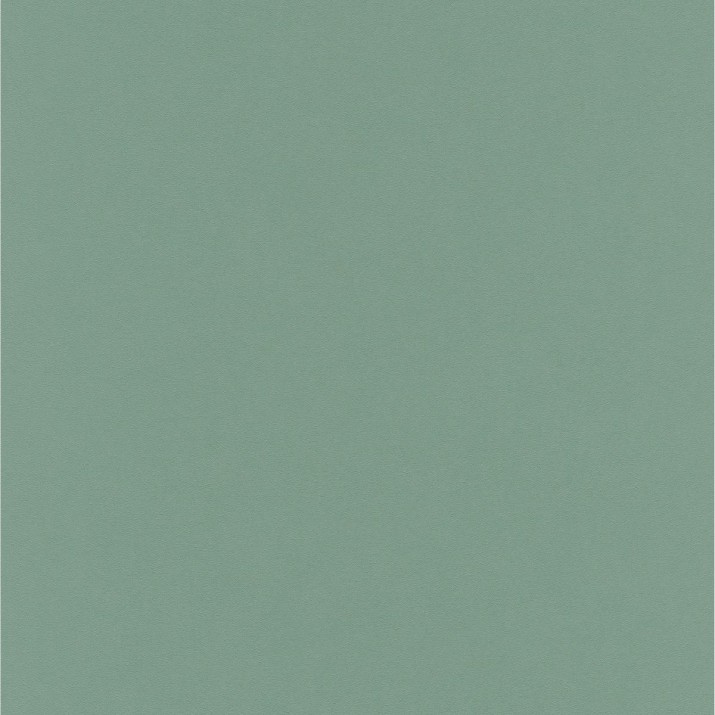ERISMANN Papier Peint Vinyle Grainé sur Intissé Sauge réf. 6342-36
