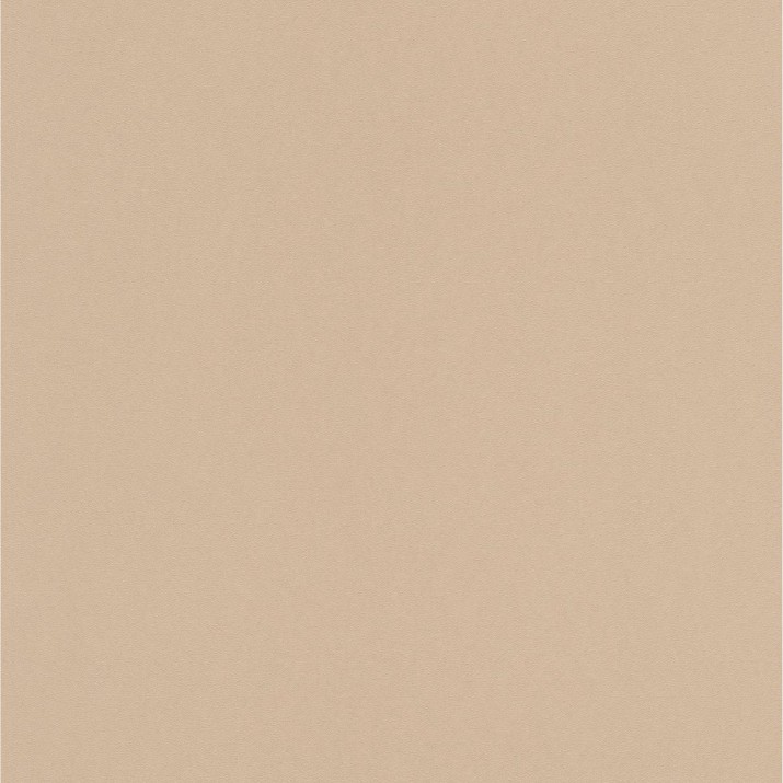 ERISMANN Papier Peint Vinyle Grainé sur Intissé Nude réf. 6342-32