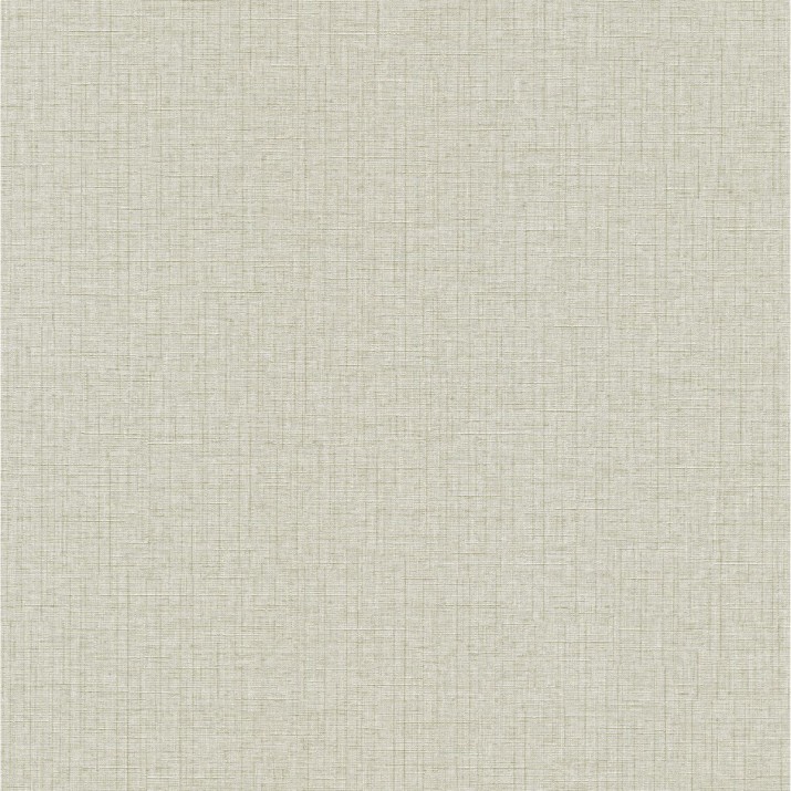 ERISMANN Papier Peint Vinyle Grainé sur Intissé Toile réf. 10140-10