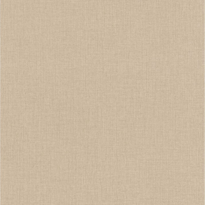 ERISMANN Papier Peint Vinyle Grainé sur Intissé Beige 4 réf. 10215-25