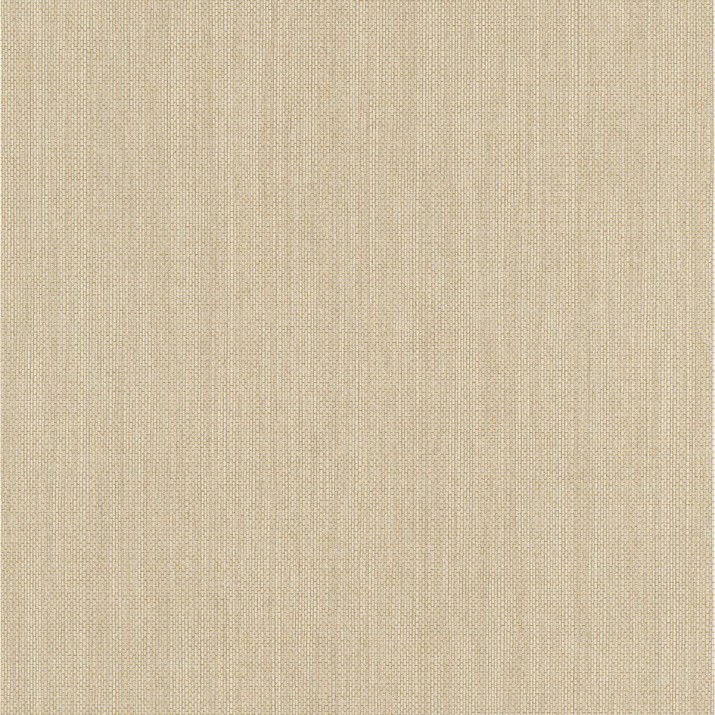 ERISMANN Papier Peint Vinyle Grainé sur Intissé Paille Naturelle réf. 6309-02