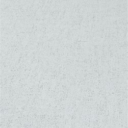 ERISMANN Papier Peint Vinyle Expansé sur Intissé Béton Gris réf. 10066-31