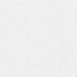 ERISMANN Papier Peint Vinyle Expansé sur Intissé Loft Blanc réf. 6986-01