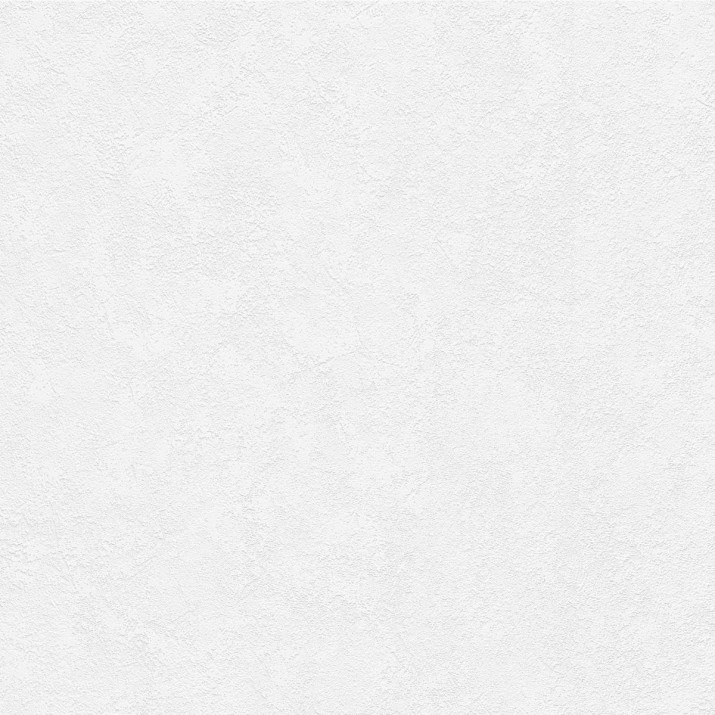 ERISMANN Papier Peint Vinyle Expansé sur Intissé Loft Blanc réf. 6986-01