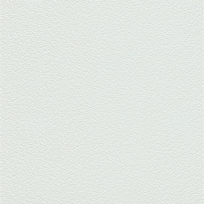 ERISMANN Papier Peint Vinyle Expansé sur Papier Crépi Blanc réf. 8415-1