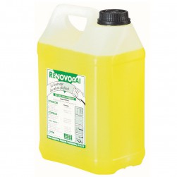 OCAI Lessive du peintre 5L