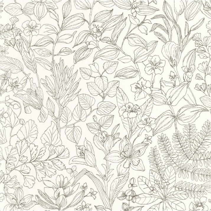 Papier Peint Esquisse blanc Gravure Noire – Gardens de Casadéco - réf. GADN87599267