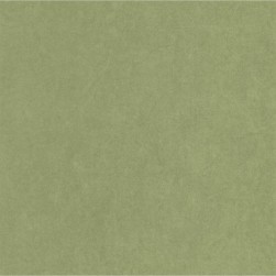 Papier Peint Cotton Touch Vert Cactus – Gardens de Casadéco - réf. GADN82387512