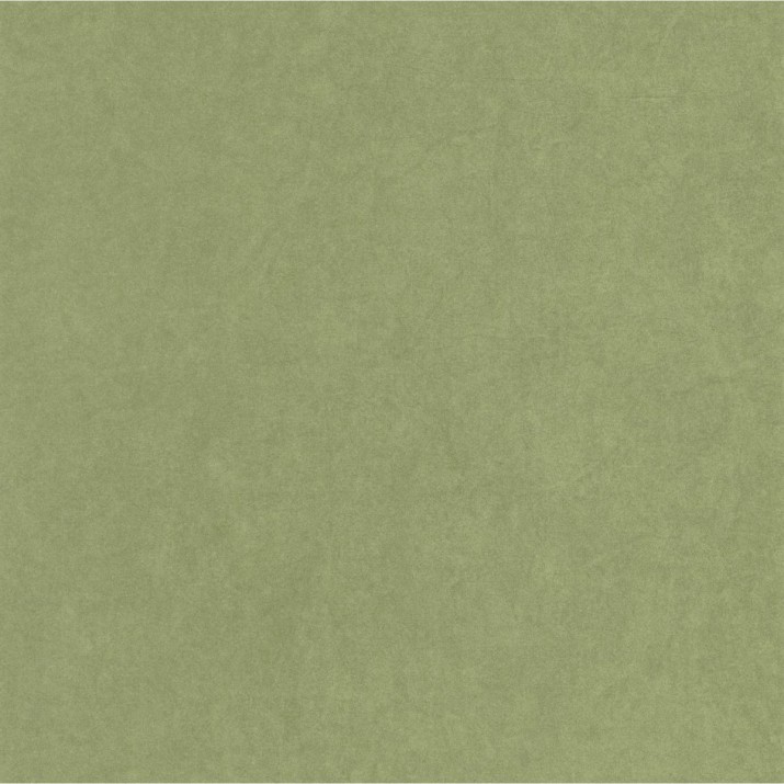 Papier Peint Cotton Touch Vert Cactus – Gardens de Casadéco - réf. GADN82387512