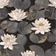 Papier Peint Nymphea Noir Fusain – Gardens de Casadéco - réf. GADN87639874