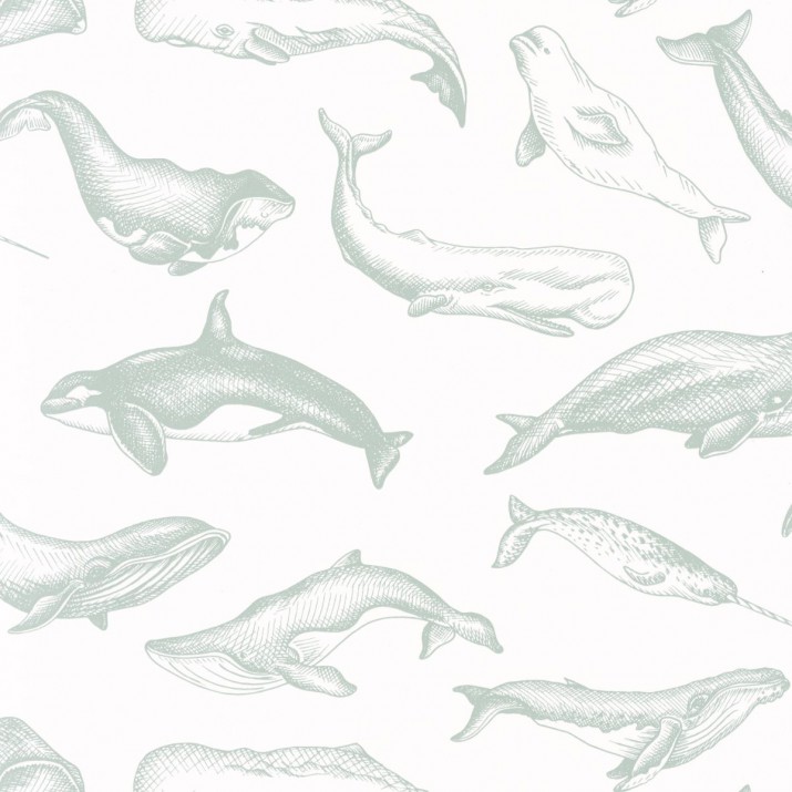 Papier Peint Whale Done Vert d’Eau – Sea You Soon de Casélio- réf. SYO102797010