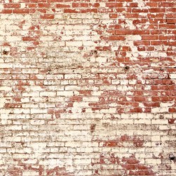 Papier Peint Panoramique Poetic Wall Rouge – Young and Free de Casélio- réf. YNF103438204 – 200 x 310cm