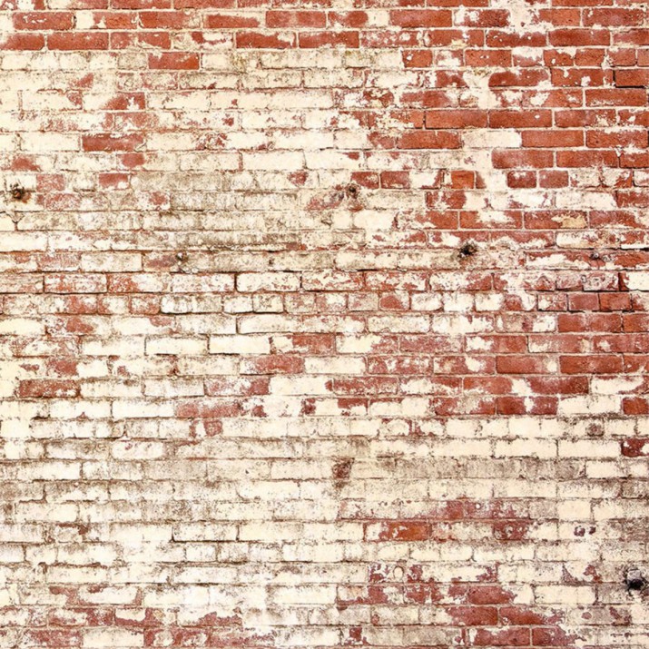 Papier Peint Panoramique Poetic Wall Rouge – Young and Free de Casélio- réf. YNF103438204 – 200 x 310cm