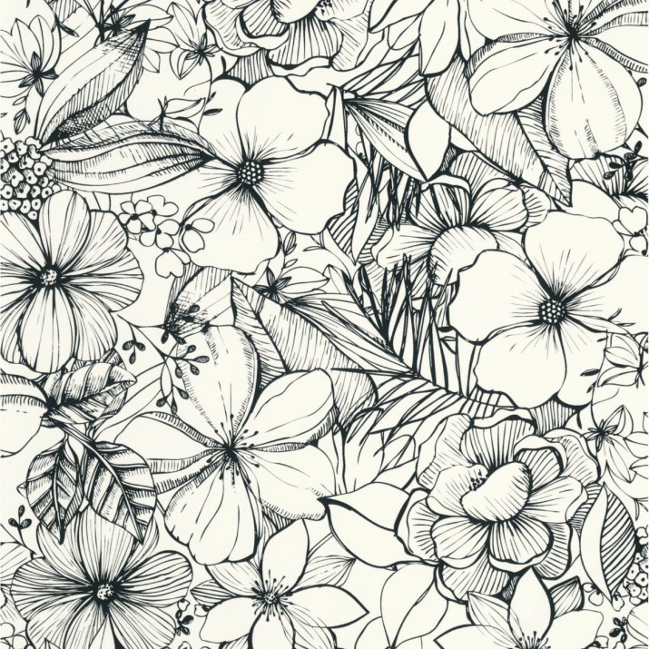 Papier Peint California Dreaming Noir et Blanc – Young and Free de Casélio- réf. YNF103389009