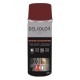 Delkolor Peinture en Aérosol - Couleurs RAL - 400ml
