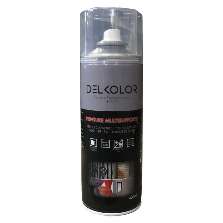 Delkolor Peinture Multisupports en Aérosol Incolore 400ml