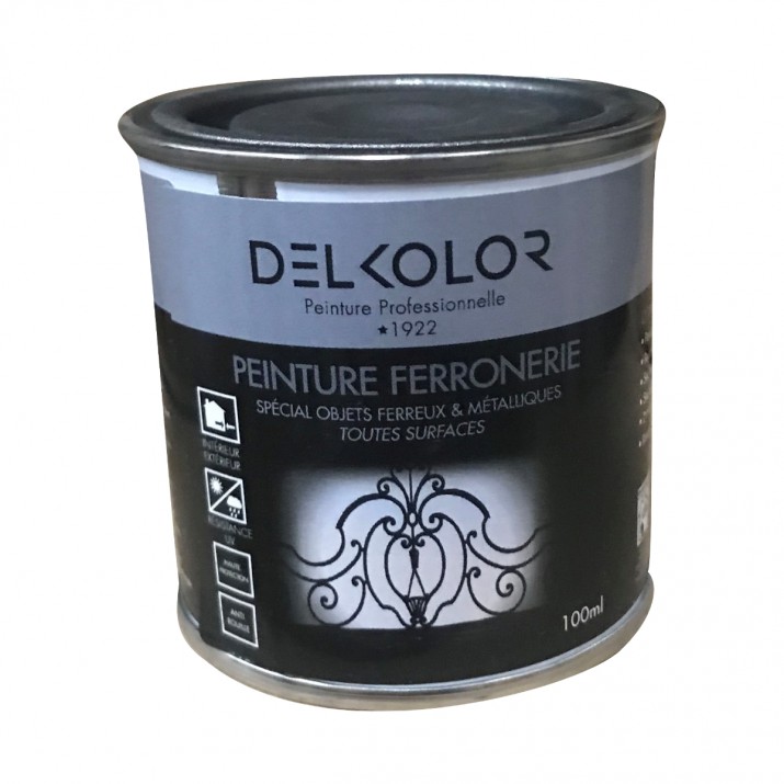 Delkolor Peinture Spéciale Ferronnerie - 100ml