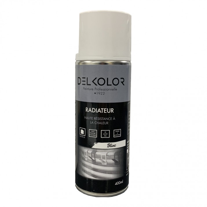 Delkolor Peinture Spéciale Radiateur en Aérosol 400ml