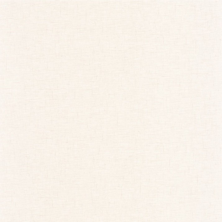 Papier Peint Vinyle sur Intissé Uni Gaze Blanc – Golden Age de Casélio- réf. GAG103760022