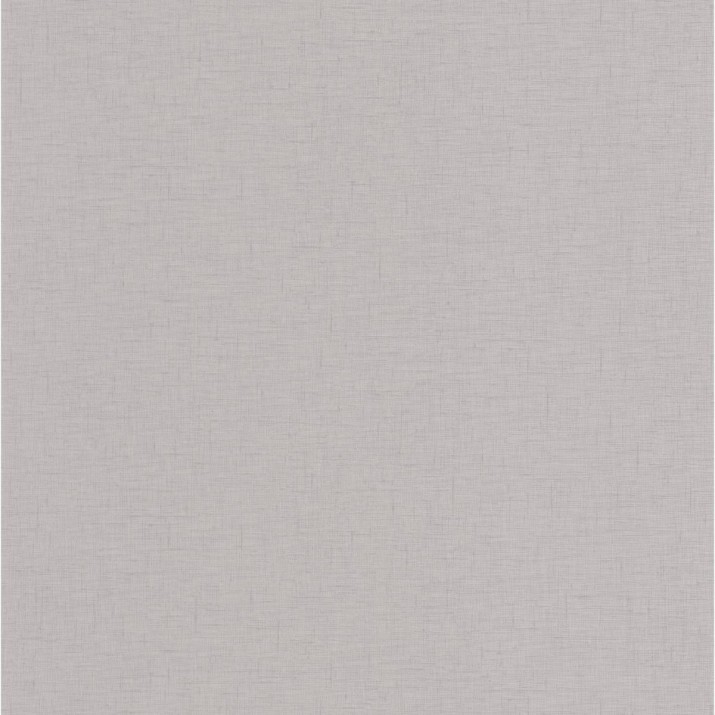 Papier Peint Vinyle sur Intissé Uni Gaze Gris Clair – Golden Age de Casélio- réf. GAG103769151