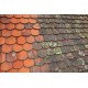 Anti M Guard 500 concentré fongicide terrasses toitures façades