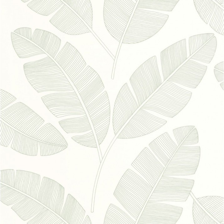 Papier Peint Vinyle sur Intissé Moonlight Banana Tree Vert Amande – Green & Co de Casélio- réf. GCO101100723