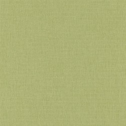 Papier Peint Vinyle sur Intissé Linen Uni Vert Sapin Moyen – Green & Co de Casélio- réf. GCO68527203