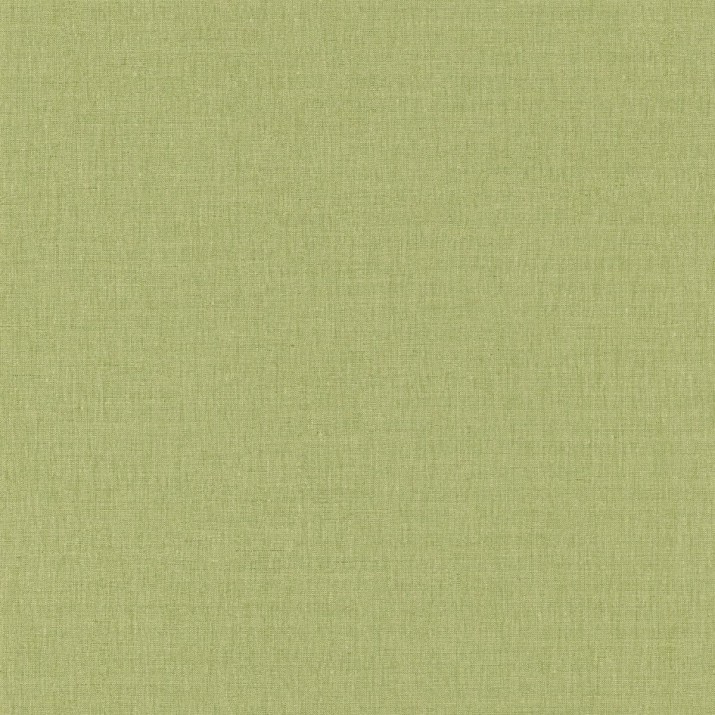 Papier Peint Vinyle sur Intissé Linen Uni Vert Sapin Moyen – Green & Co de Casélio- réf. GCO68527203