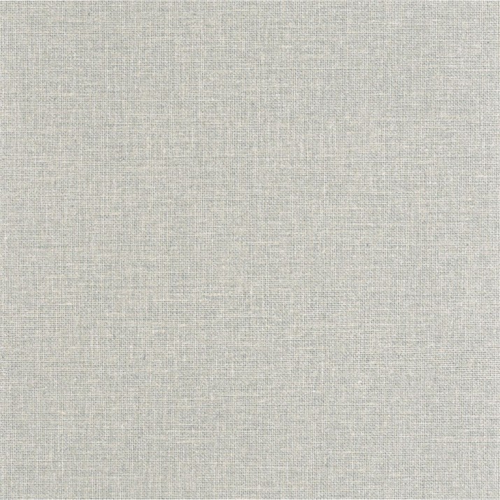 Papier Peint Vinyle sur Intissé Uni Mat Celadon – Jute de Casélio- réf. JTE104017120