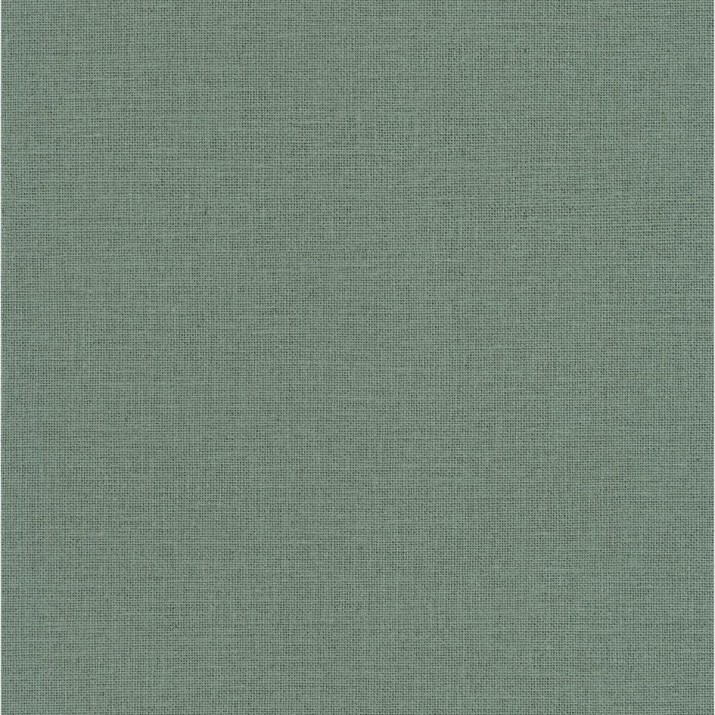 Papier Peint Vinyle sur Intissé Uni Mat Mousse – Jute de Casélio- réf. JTE104017789