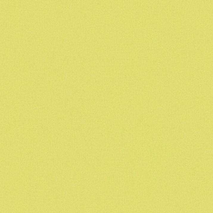Papier Peint Intissé Uni Flore Vert Anis – Héritage de Lutèce - réf. FLO488H