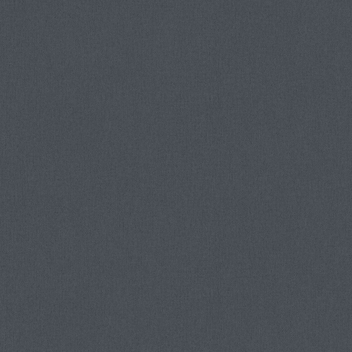 Papier Peint Intissé Uni Flore Anthracite – Héritage de Lutèce - réf. FLO483H