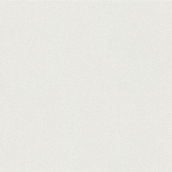 Papier Peint Vinyle Grainé sur Intissé Motif Matière – Erismann - réf. 02514-50