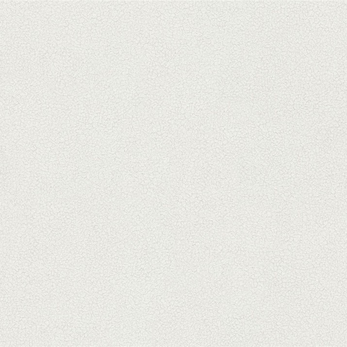 Papier Peint Vinyle Grainé sur Intissé Motif Matière – Erismann - réf. 02514-50