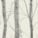 Papier Peint Vinyle Expansé sur Intissé Motif Forest 1 – Erismann - réf. 5433-47
