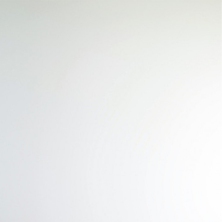 Toile de renovation lisse sur molleton 300 g - 10m x 1m