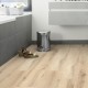 Lame PVC sol Creation 40 Rigid Acoustic Cedar Pure - 229 mm x 1492 mm
