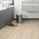 Lame PVC sol Creation 40 Rigid Acoustic Swiss Oak Beige - 229 mm x 1250 mm