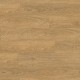 Lame PVC sol Creation 55 à coller - Lounge Oak Gold - 230 mm x 1500 mm