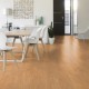 Lame PVC sol Creation 55 à coller - Lounge Oak Gold - 230 mm x 1500 mm