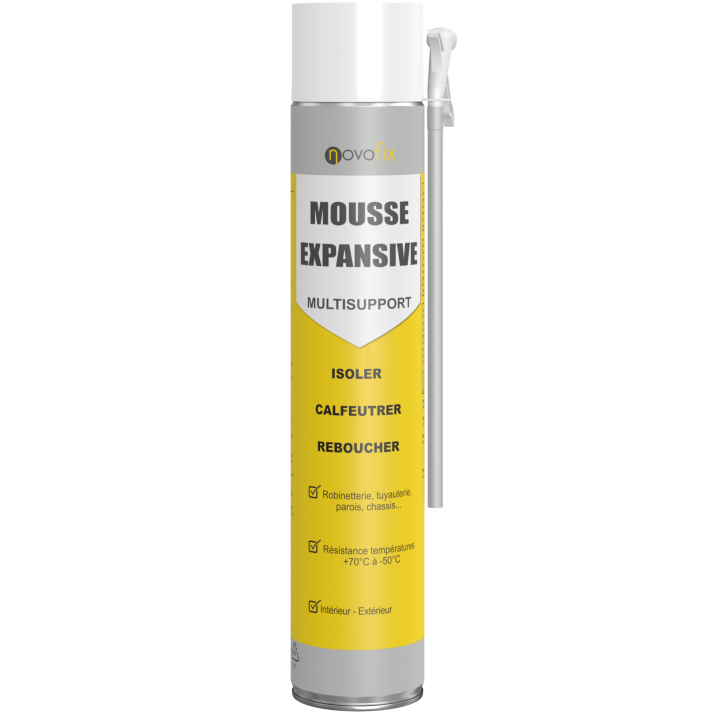 Mousse expansive Multi-supports 1C
