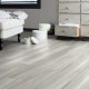 Lame PVC sol Creation 55 à coller - Stripe Oak Ice - 184 mm x 1219 mm