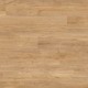 Lame PVC sol Creation 55 à coller - Swiss Oak Golden - 184 mm x 1219 mm