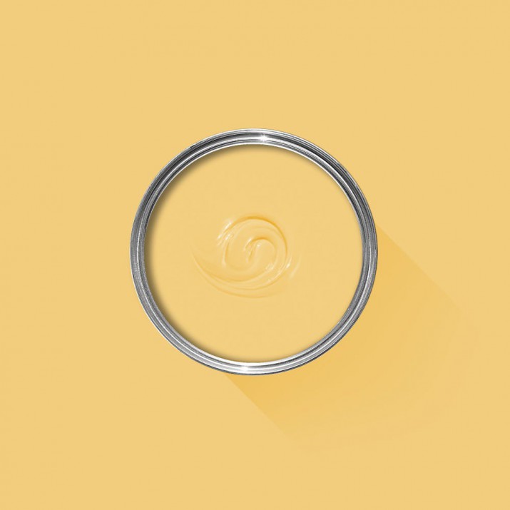 Farrow & Ball - Citron - No.74